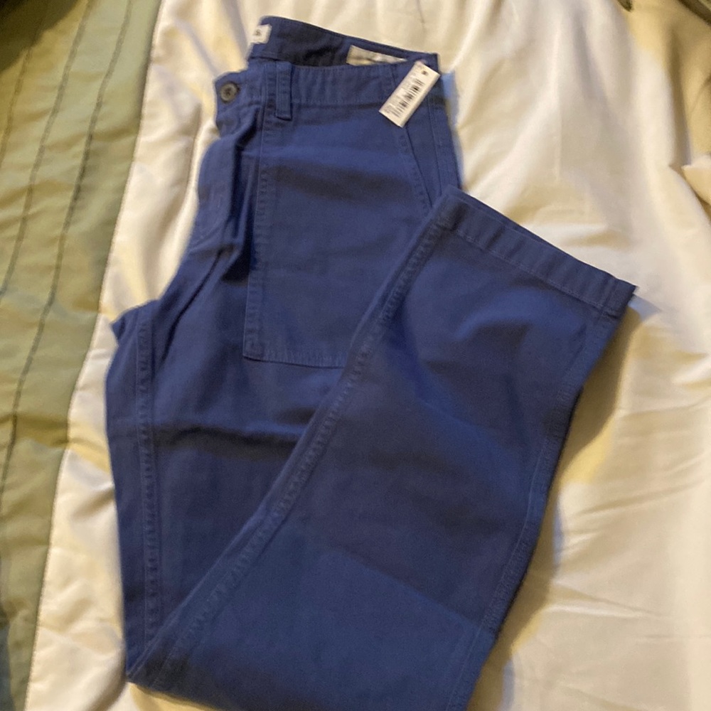 NWT Goodthreads Blue Utility Pants 29”W 30.5”L